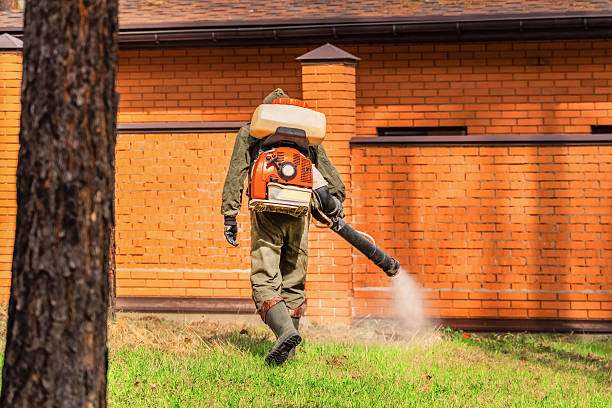 Trusted Cockroach Control service in Lake Shastina, CA - Nex Pest Control